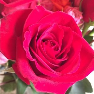 Meet your Posher, Aracely